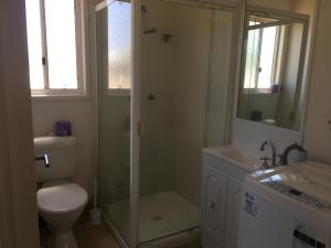 uma casa de banho com um chuveiro, um WC e um lavatório. em Pit Pony Hotel em Collinsville