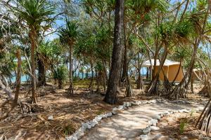 Fotografie z fotogalerie ubytování Wilson Island v destinaci Wilson Island