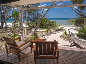 Foto dalla galleria di Wilson Island a Wilson Island