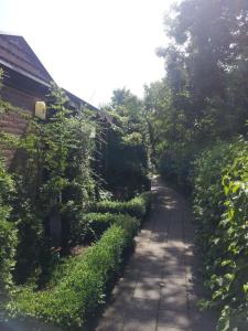 Zahrada ubytování Zonnig Zuid