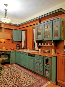 a kitchen with green cabinets and a sink at Villa Ευορέων in Pertouli +18 photos