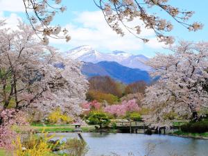 a garden withakura trees and a lake with a mountain at APA Hotel Koriyama Ekimae in Koriyama
