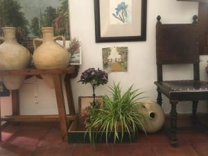 Fotografie z fotogalerie ubytování El Zaguan v destinaci Granada