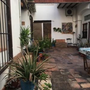 un patio de una casa con macetas en El Zaguan en Granada