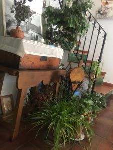 Fotografie z fotogalerie ubytování El Zaguan v destinaci Granada