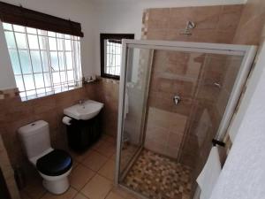 a bathroom with a shower and a toilet and a sink at Fourways BnB in Johannesburg