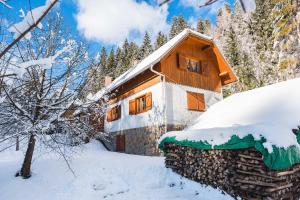 a cabin in the snow in the woods at POHORJE HOUSE Rogla 2 in Oplotnica