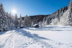 POHORJE HOUSE Rogla 2 tokom zime