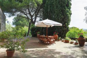 A garden outside Malmantile by Salogi Villas