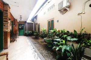 Zahrada ubytování Hotel Alamanda