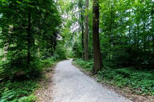 a dirt road in the middle of a forest at B&B HOTEL Zürich Wallisellen in Wallisellen