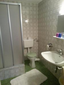 een badkamer met een douche, een toilet en een wastafel bij Haus Chorinskyklause in Bad Goisern