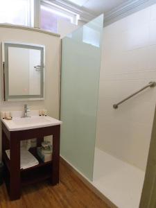 a bathroom with a sink and a shower at Cara Lodge Hotel in Georgetown