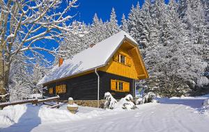 une cabine dans la neige avec des arbres enneigés dans l'établissement APARTMENTS ROGLA LUKANJA 1, à Oplotnica