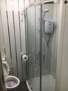ブラックプールにあるArdern Hotelのバスルーム(シャワーブース、トイレ付)