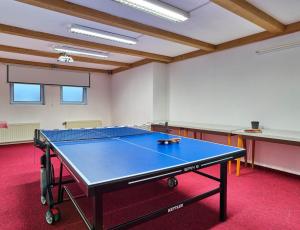 Stolní tenis v ubytování Hotel Eisensteiner Hof nebo okolí