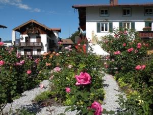 Una donna seduta in un giardino di rose di fronte a una casa di Ferienwohnungen Rosenhof a Tegernsee