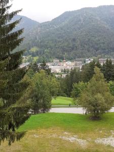 uitzicht op een park met bomen en een berg bij Accogliente e confortevole appartamento a Tarvisio in Tarvisio