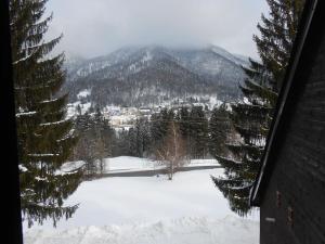 a view from a window of a snow covered mountain at Accogliente e confortevole appartamento a Tarvisio in Tarvisio