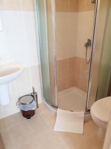 a bathroom with a shower and a toilet and a sink at Ground floor One Bedroom Apartment, Vanessa Complex in Peyia