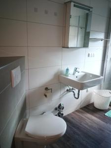 łazienka z toaletą i umywalką w obiekcie Ravensbergblick - harzlich willkommen in Bad Sachsa w mieście Bad Sachsa