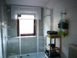 La salle de bains est pourvue d'une douche et d'une douche vitrée. dans l'établissement Ravensbergblick - harzlich willkommen in Bad Sachsa, à Bad Sachsa