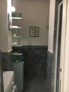 ein Badezimmer mit einer Dusche, einem WC und einem Regal in der Unterkunft Bilocale alle 5 Terre Monterosso 200m from the beach in Monterosso al Mare