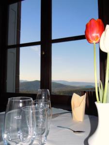 Foto da galeria de Hôtel-Restaurant Mont Sainte-Odile em Ottrott