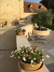 two large pots of flowers inront of a building at La Tour de Ginaillac in Les Arques