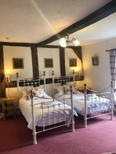 a bedroom with two beds in a room at Rhydspence in Hay-on-Wye