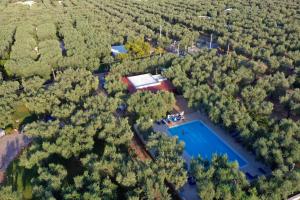 an aerial view of a house with a pool in a forest at Villaggio San Matteo Resort in Mattinata
