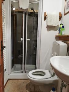 a bathroom with a shower and a toilet and a sink at Dolomiti house in Cibiana +53 photos