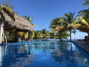 a swimming pool on the beach with palm trees at Lost Reef Resort in Riversdale