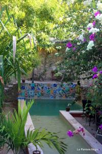 a swimming pool in a garden with trees and flowers at La Pantera Negra in Mérida