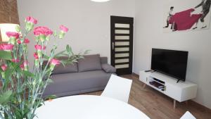 een woonkamer met een bank en een tv bij Apartament Akali in Kielce