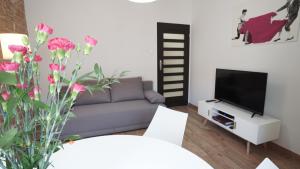 Televízia a/alebo spoločenská miestnosť v ubytovaní Apartament Akali Centrum -Parking