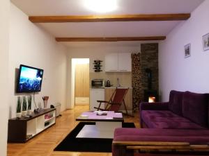 Μια τηλεόραση ή/και κέντρο ψυχαγωγίας στο Studio apartman Paradise