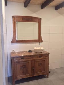 a bathroom with a sink and a mirror at Hoeve Delshorst in Heibloem