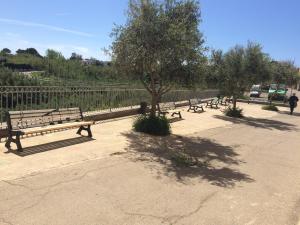 um grupo de bancos de parque sentados ao lado de uma cerca em Casa Calanave 1 em Ventotene