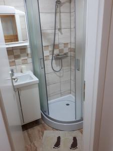 斯拉沃尼亞布羅德的住宿－Apartman ANA，带淋浴和盥洗盆的浴室