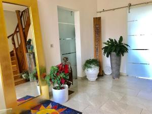 a room with two potted plants and a mirror at Ferienwohnung Forest & Wein in Neustadt an der Weinstraße