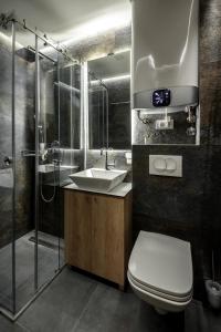 a bathroom with a toilet and a sink and a shower at Belly 1 in Vračar (historical)