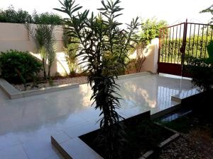 a swimming pool with a palm tree in a garden at Luxor Plaza House in Luxor