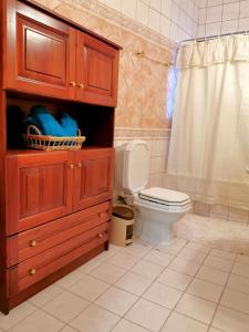La salle de bains est pourvue de toilettes et d'une armoire en bois. dans l'établissement Villa Ευορέων, à Pertouli
