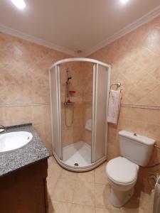 een badkamer met een douche, een toilet en een wastafel bij Casa familiar con jardín “Arana Etxea” EBI01207 in Orduña