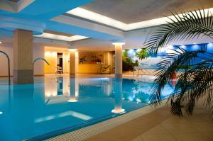 a swimming pool in a hotel with a palm tree at Hotel Piotr Spa&Wellness in Boguszów-Gorce