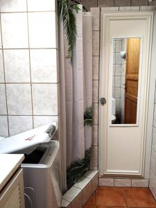e bagno con doccia, servizi igienici e porta. di Cosy cottage in a garden a Ishøj