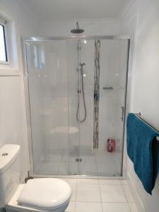 Jindabyne Guest House في جيندابين: حمام مع دش ومرحاض
