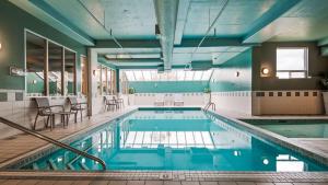Bazén v ubytování Best Western PLUS Calgary Centre Inn nebo v jeho okolí