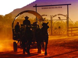 a couple of horses pulling a horse drawn carriage at Grand Canyon Western Ranch in Meadview